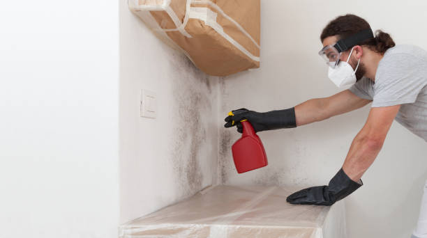Attic Mold Remediation treatment on roof deck in Columbus