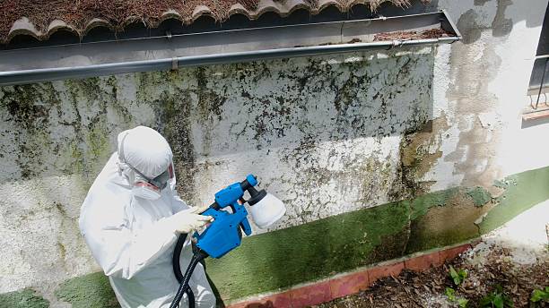 Mold Remediation service in Columbus, Columbus, NJ
